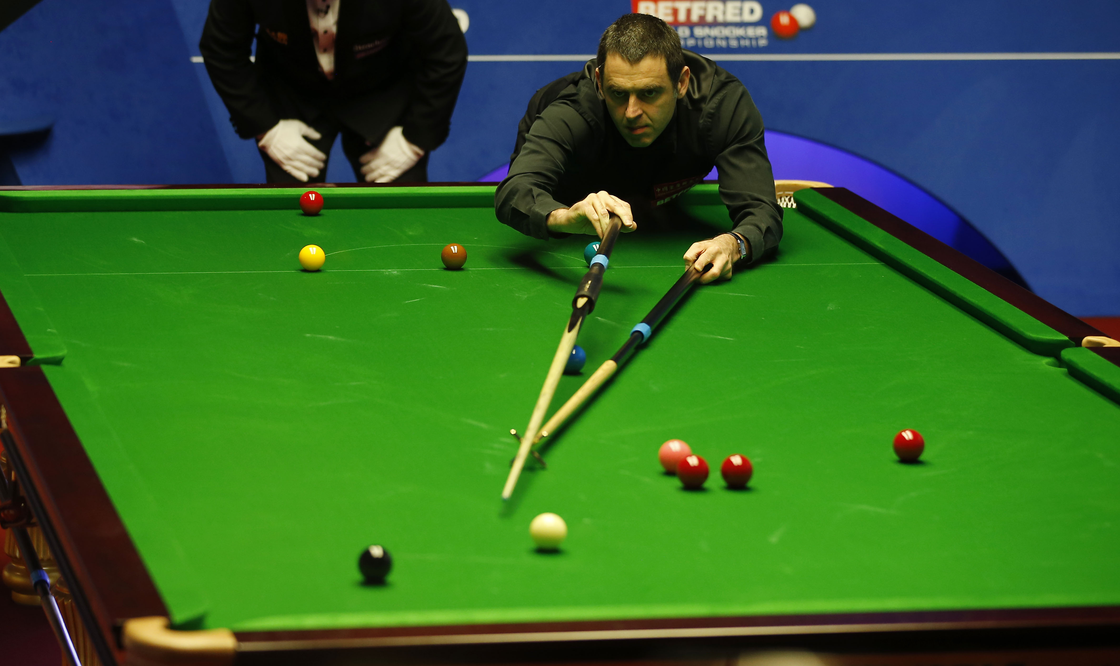 们的风采 们的风采