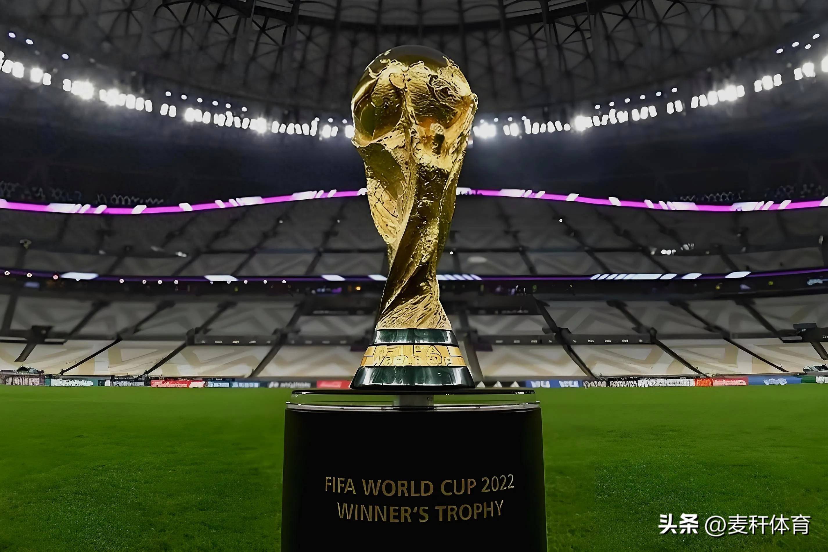 成长为皇马 成长为皇马